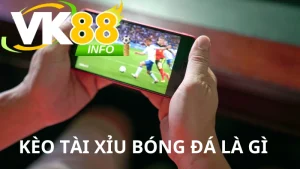Giới Thiệu Về Kèo Tài Xỉu VK88
