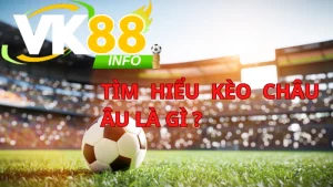 Giới thiệu chung về loại kèo châu Á   